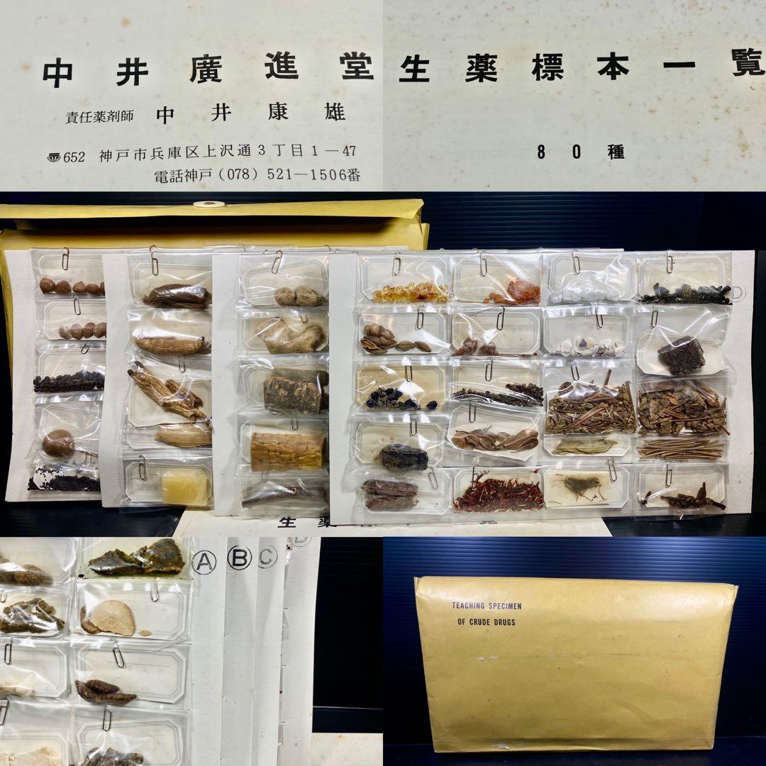 超 生薬 標本 一覧 80種 中井廣進堂 漢方 薬膳 生薬 標本 一覧