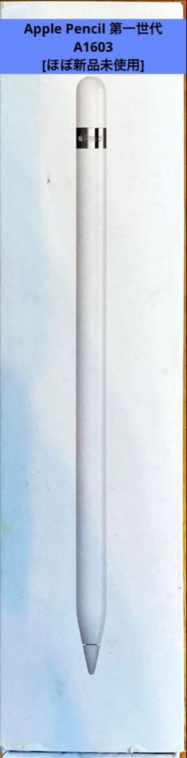 Apple Pencil 第一世代 A1603 替え先端付き