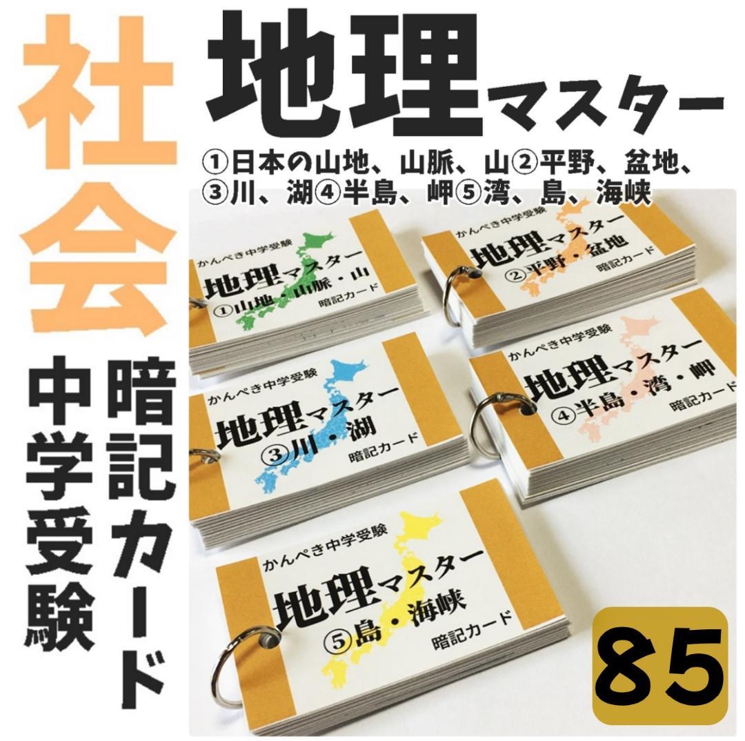 100】中学受験 国語・算数・理科・社会 暗記カード セット商品 テスト