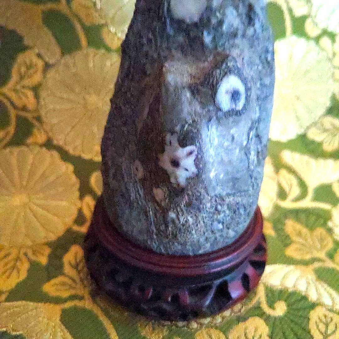 最終価格】門司 梅花石 台座付 水石 盆石 最終価格】門司 梅花石 台座