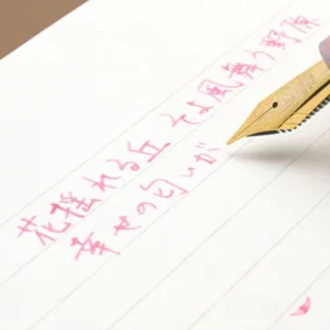 新品 絶版 Pent by 大西製作所 ☆ 桜 万年筆 アセテート 轆轤手作り