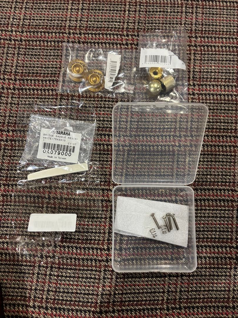 アコスタニック？　テレキャスター