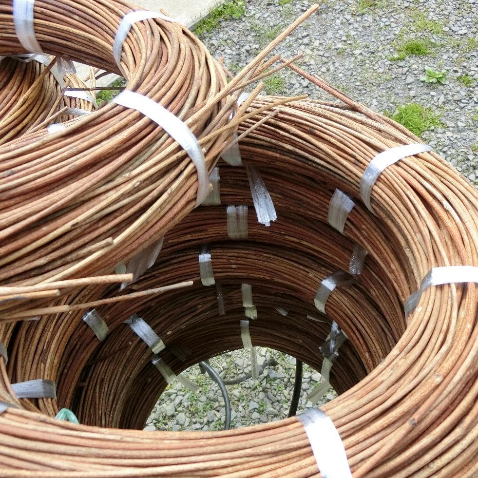 黄色いくまさん　青森岩木山採取　あけび蔓　150cm～ 15kg　1