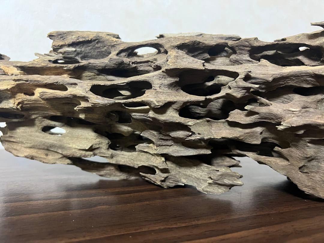 XM-456 流木 マシンガンウッド アクアリウム ブランチウッド 沈水確認済