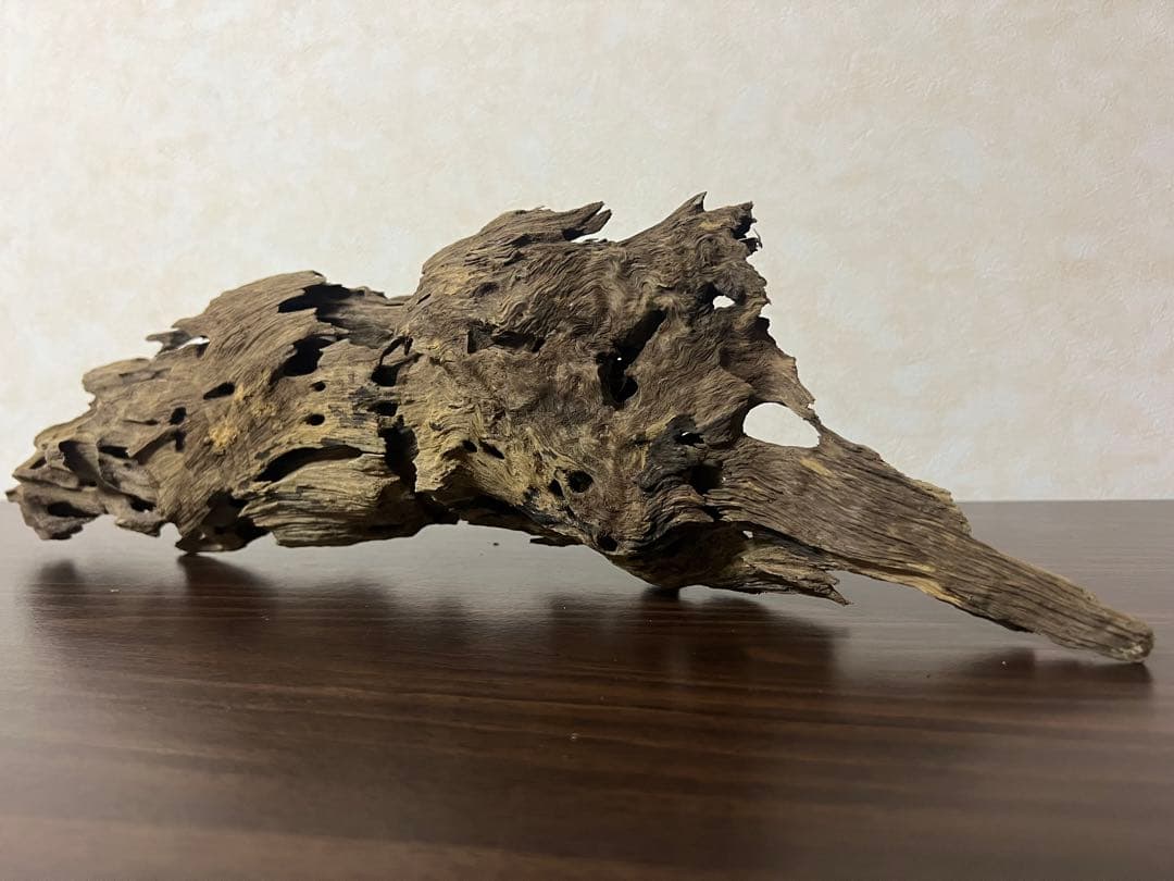 XM-456 流木 マシンガンウッド アクアリウム ブランチウッド 沈水確認済