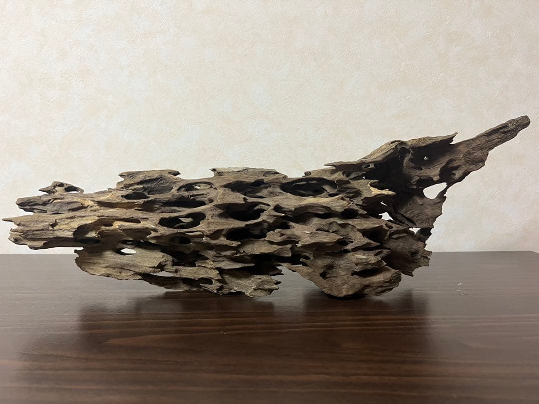 XM-456 流木 マシンガンウッド アクアリウム ブランチウッド 沈水確認済