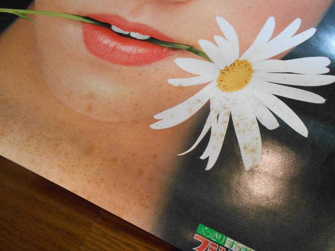 フジカラー写真額「ユルブリンナーさんパネル」＆岡田奈々さんポスター