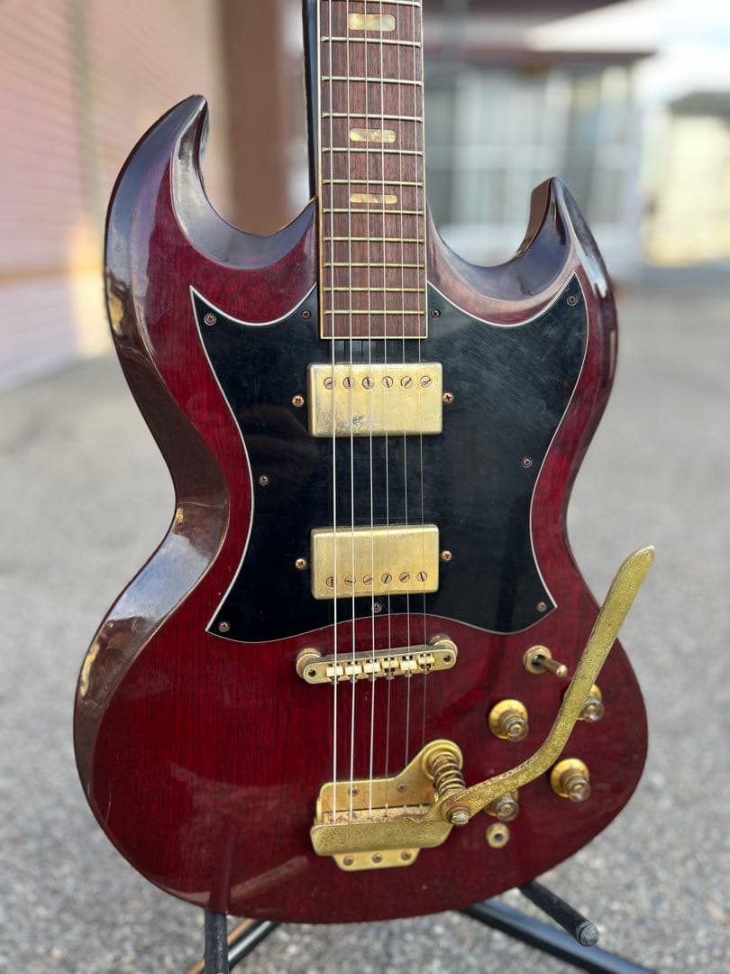 Lake（レイク） 日本製 ビザールギター 長野ローカルブランド】 魅惑の