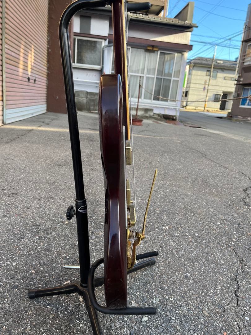 LAKEGUITARビンテージギター 【公式通販】 【Lake（レイク） 日本製