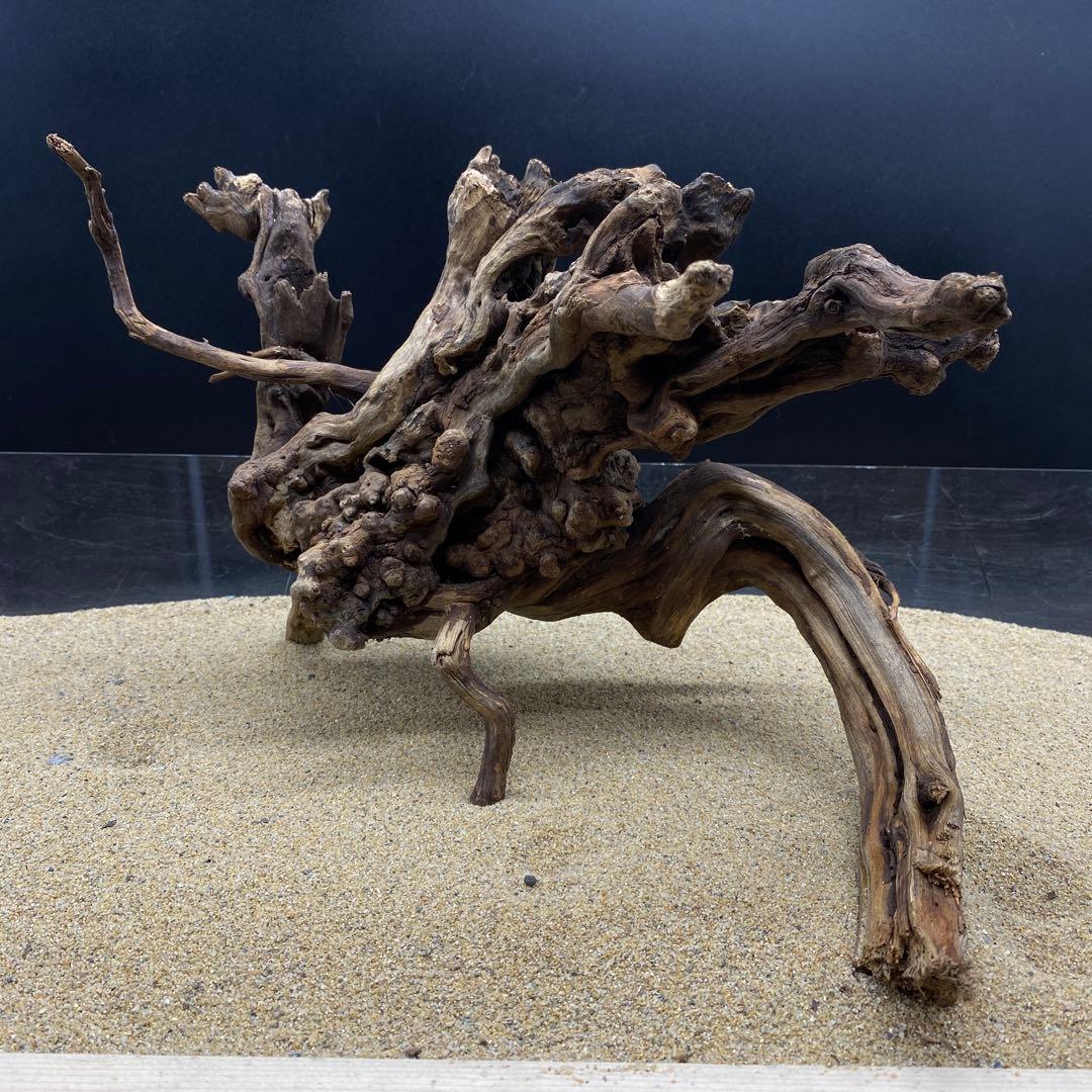 MTW-6356 蔦流木1点物 90cm水槽用流木 アクアリウム MTW-6356 蔦流木