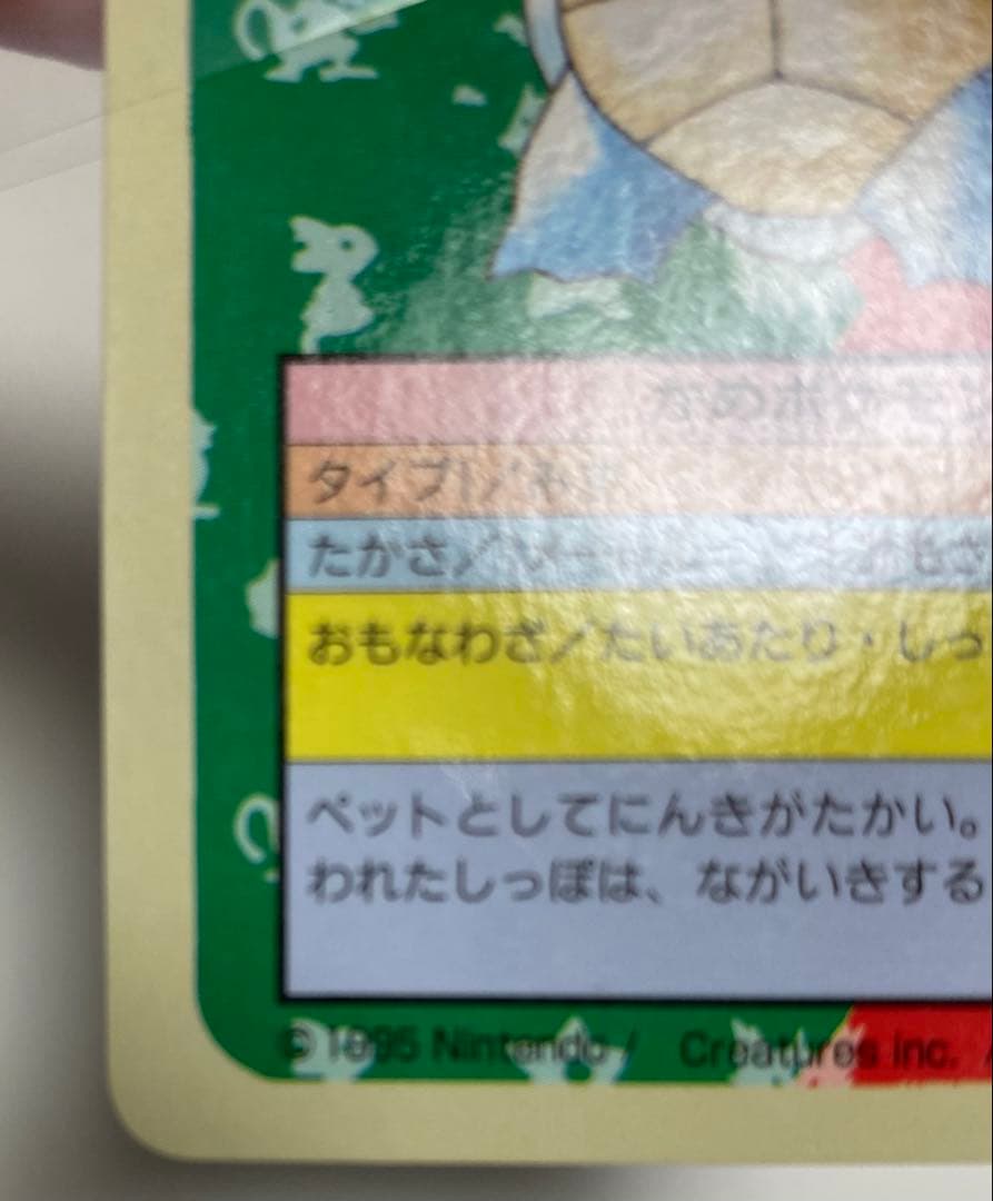 ポケモンカード トップサン エラー ナンバーレス 裏青 カメール