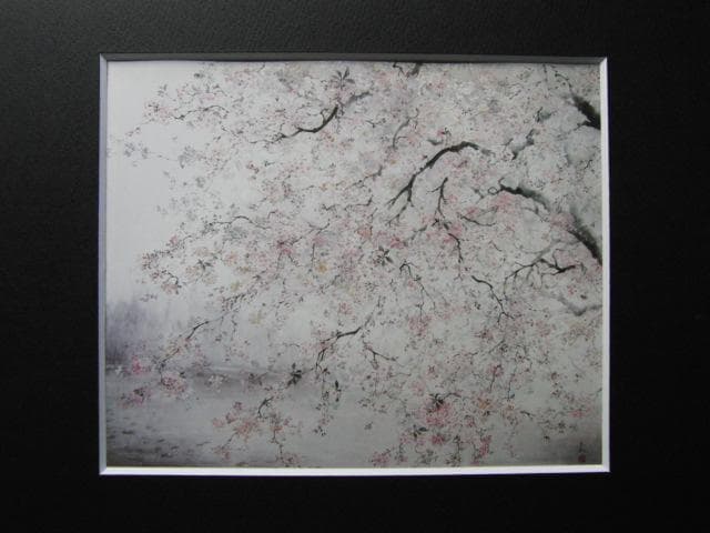 アンモナイトの化石 オーストリーで入手a012-420(yh)