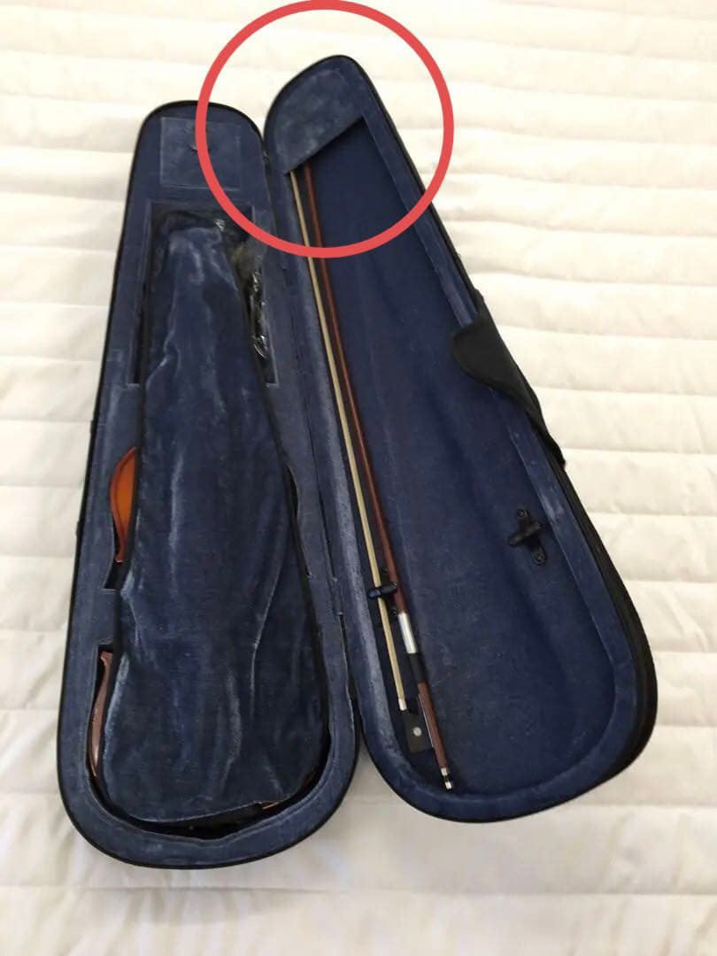 S733 バイオリン VS-1 4/4 2009年 ソフトケース付き 2025年最新】Carlo