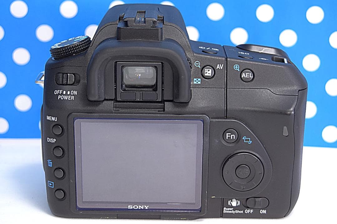 ✨美品✨❤初心者オススメ❤✨スマホ転送OK✨SONYソニーα200✨の通販は