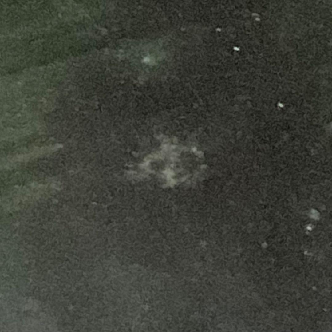 織部 羽子板型 大皿 陶器 美濃焼 亀甲文 正月