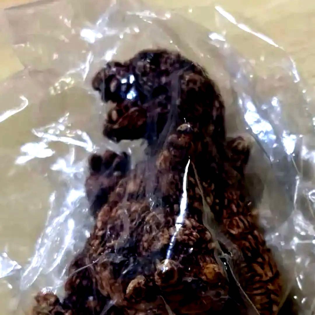 東宝怪獣根付-ゴジラ- 「モスゴジ」