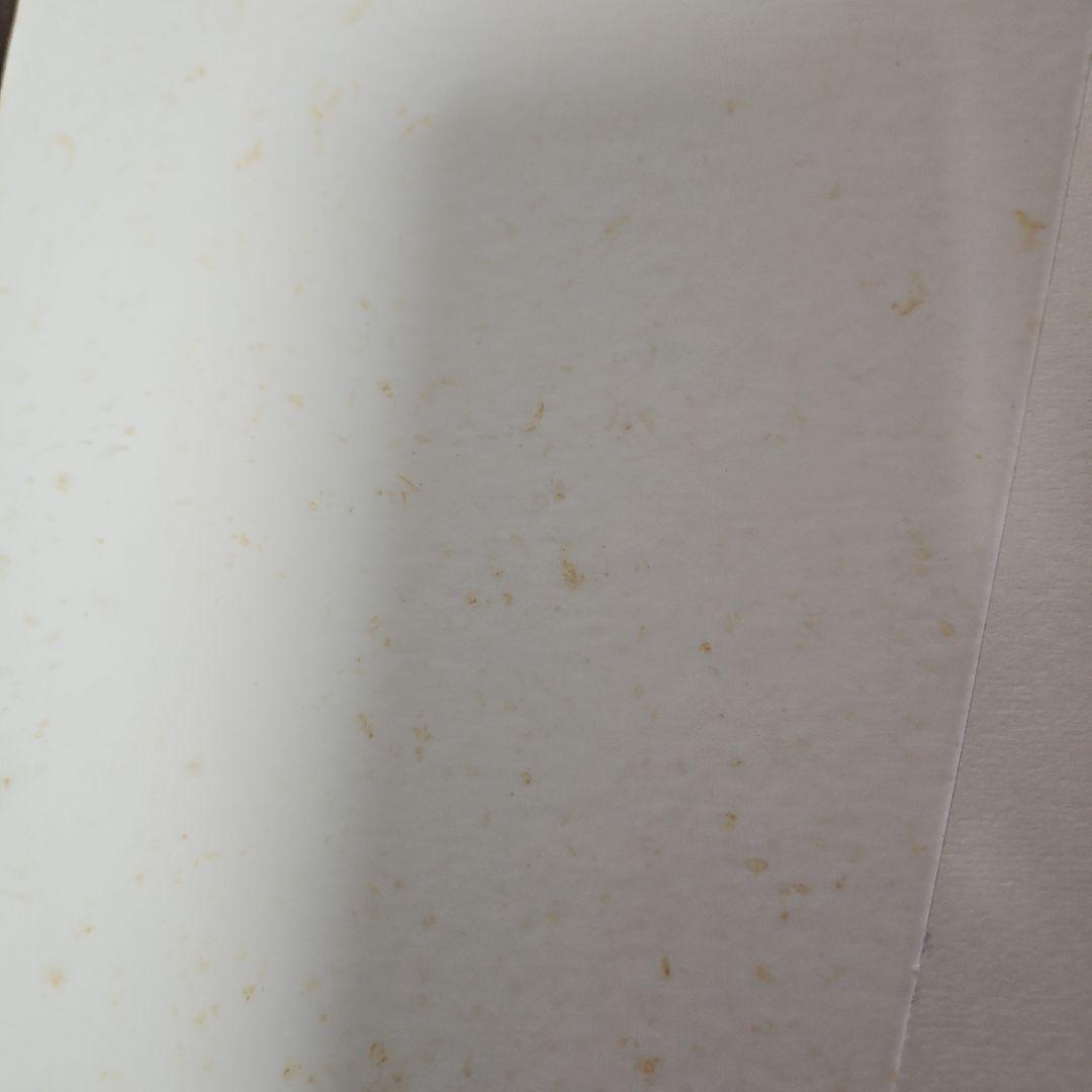 浜崎あゆみ museum & complete clip box告知パネル グッズ | 浜崎