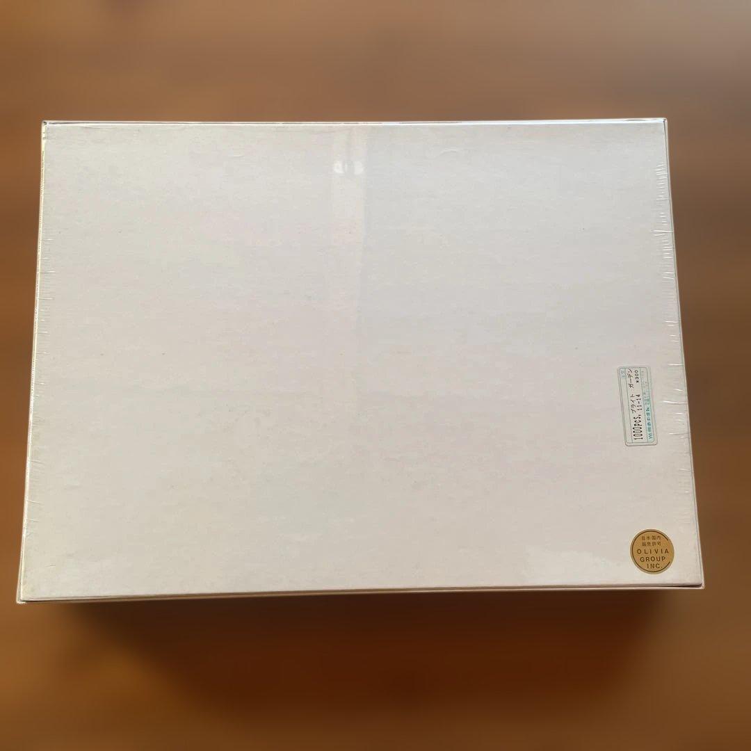 ジグソーパズル ポール・ポラロ ブライトガーデン 1000P 未開封