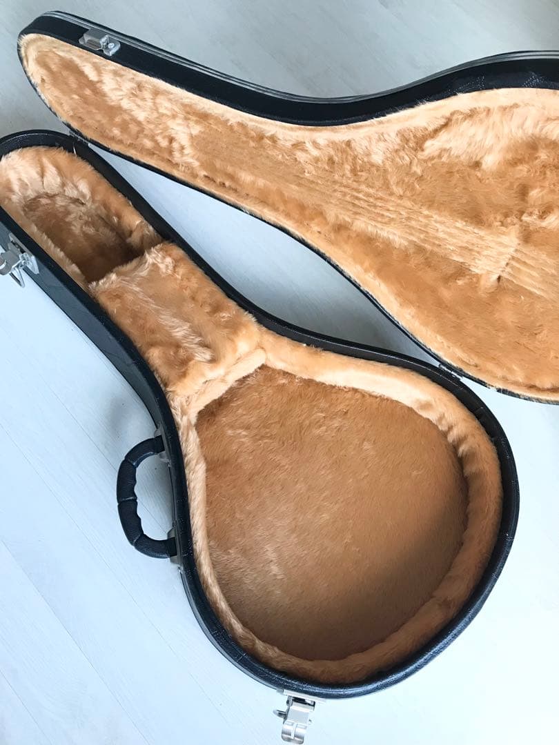 10弦バンドリン(マンドリン)