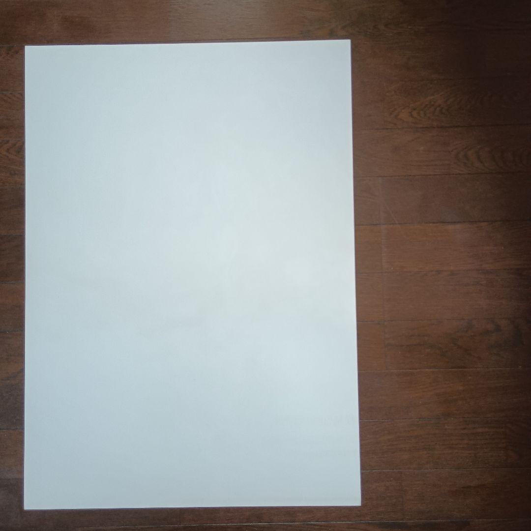 横尾忠則の世界展　ポスター　西脇市岡之山美術館　即日発送