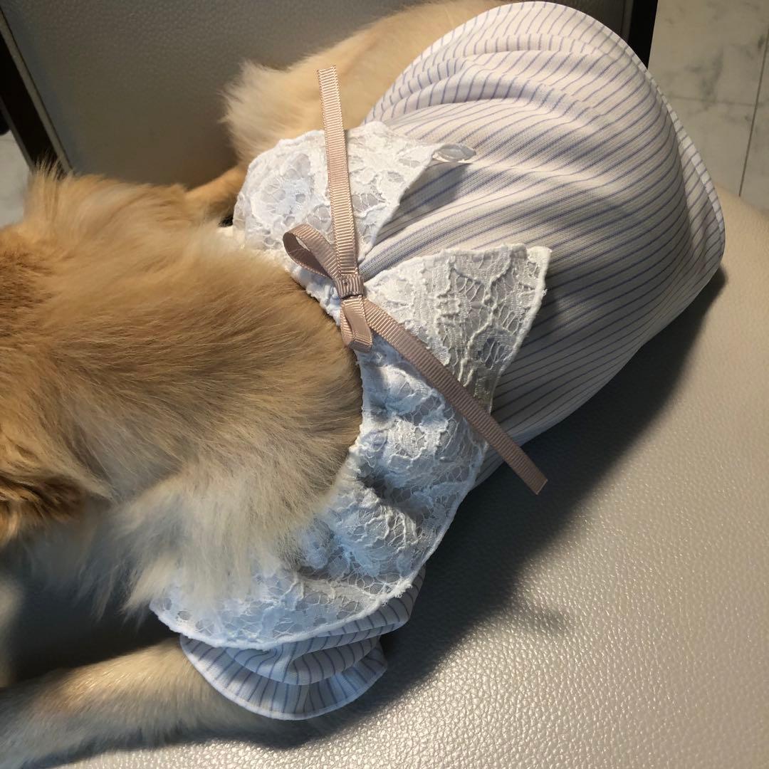 ハンドメイドカットソーオーダー小型犬