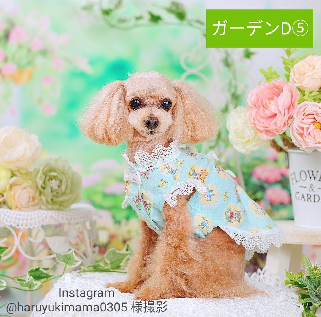 背景布【屋内V】ニューボーンフォト、ペット、ドール撮影用 空 薔薇