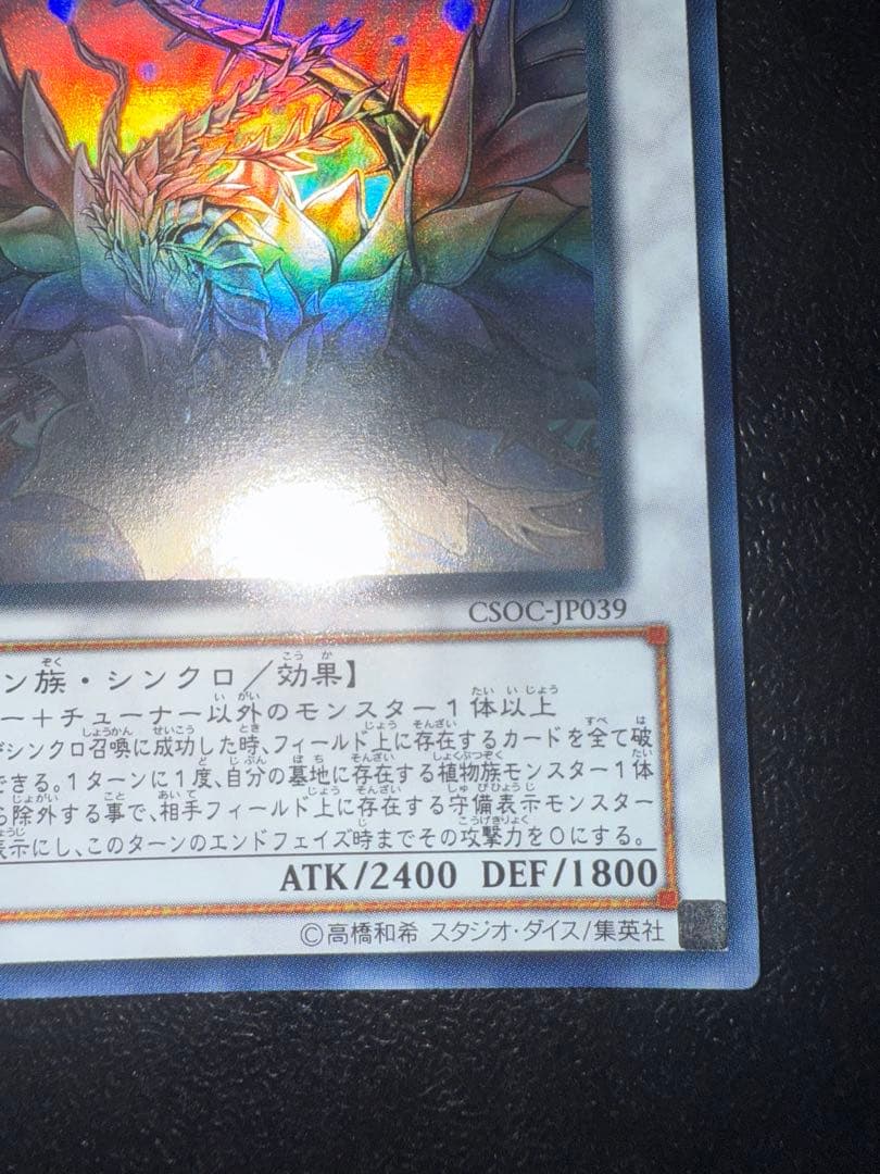 遊戯王　ブラックローズドラゴン　ホログラフィック