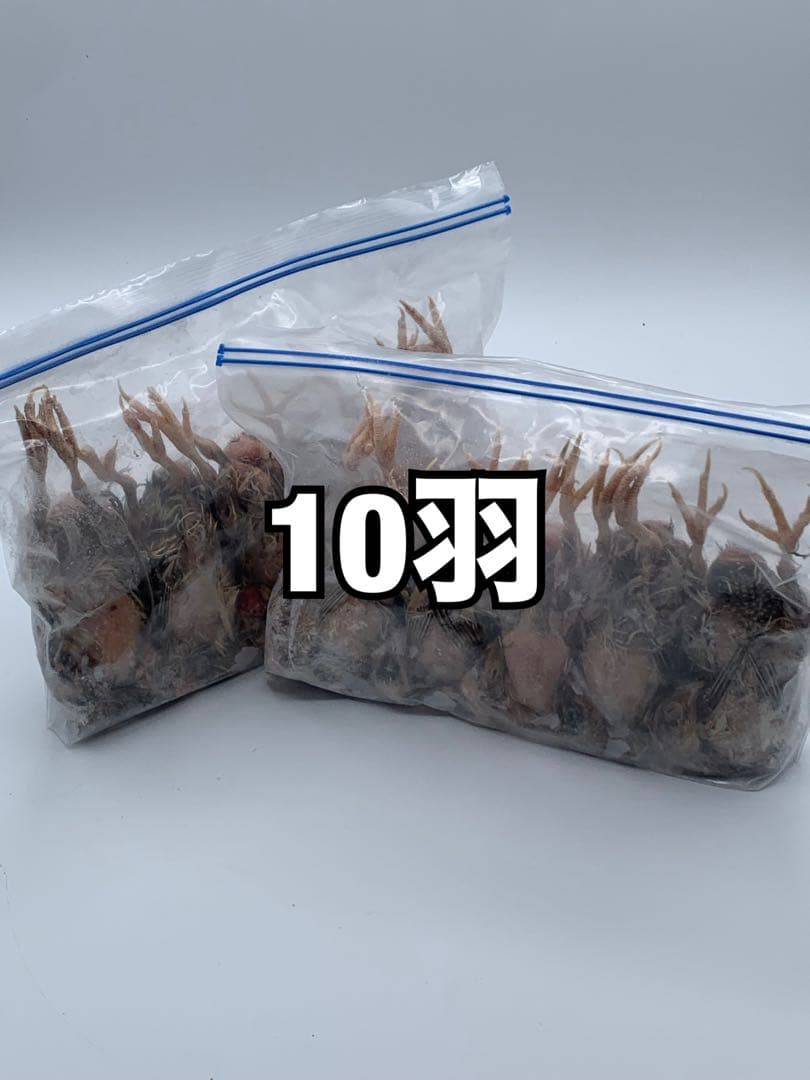 冷凍うずら（10羽）【送料込】 - メルカリ