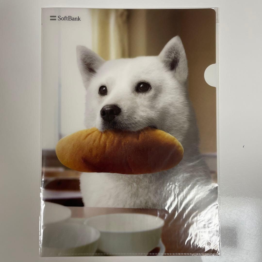 SoftBank クリアファイル 白い犬 お父さん 2枚セット - メルカリ