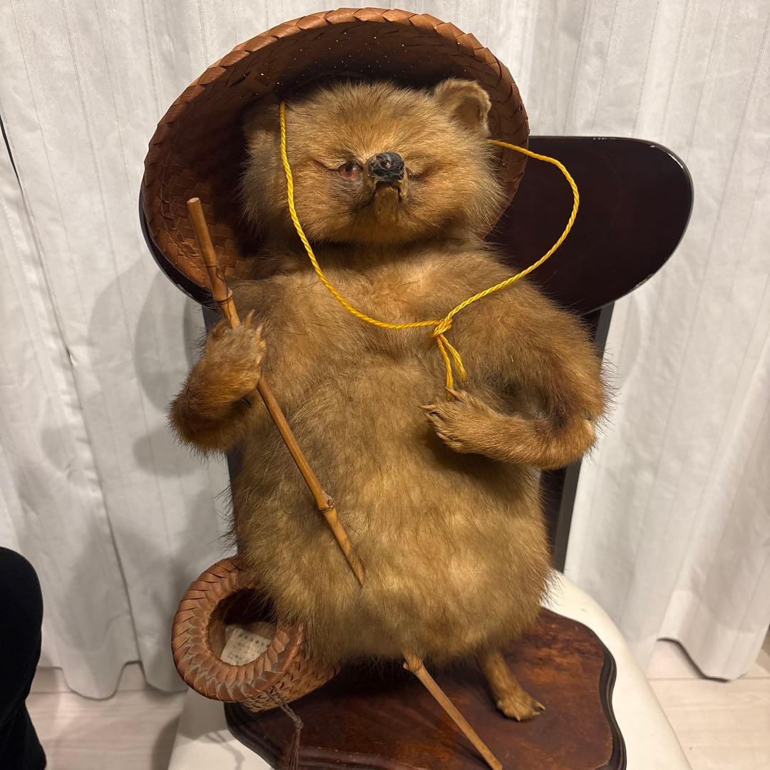 釣り師狸（タヌキ）置物/ たぬきの剥製 釣り師狸（タヌキ）置物