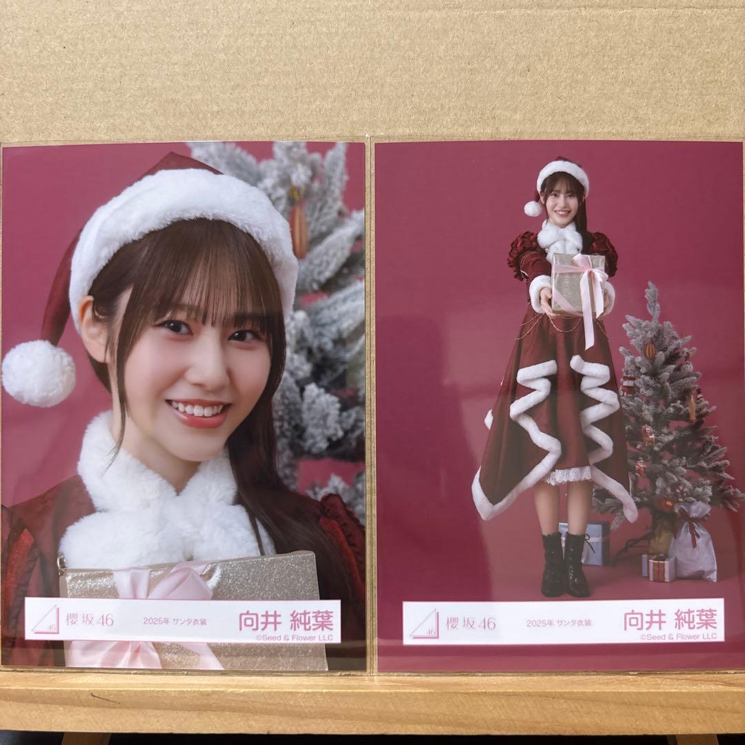 櫻坂46 2025年サンタ衣装 生写真 向井純葉 ヨリ、ヒキ - メルカリ