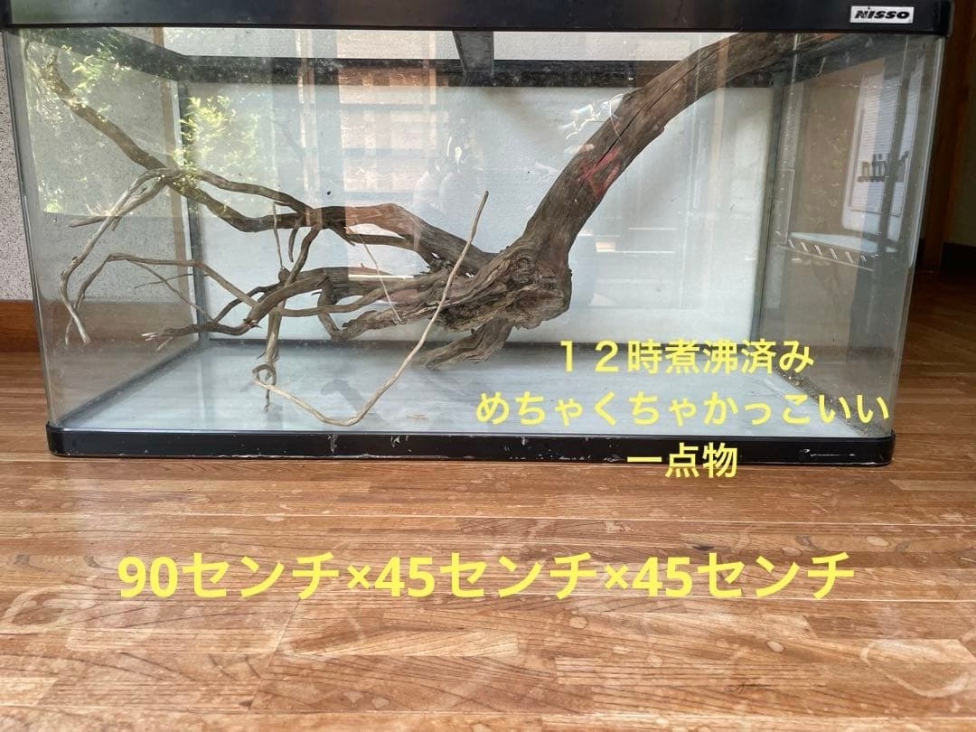 超大型 ☆アクアリウム 生花 テラリウム 爬虫類 天然流木 ホーンウッド