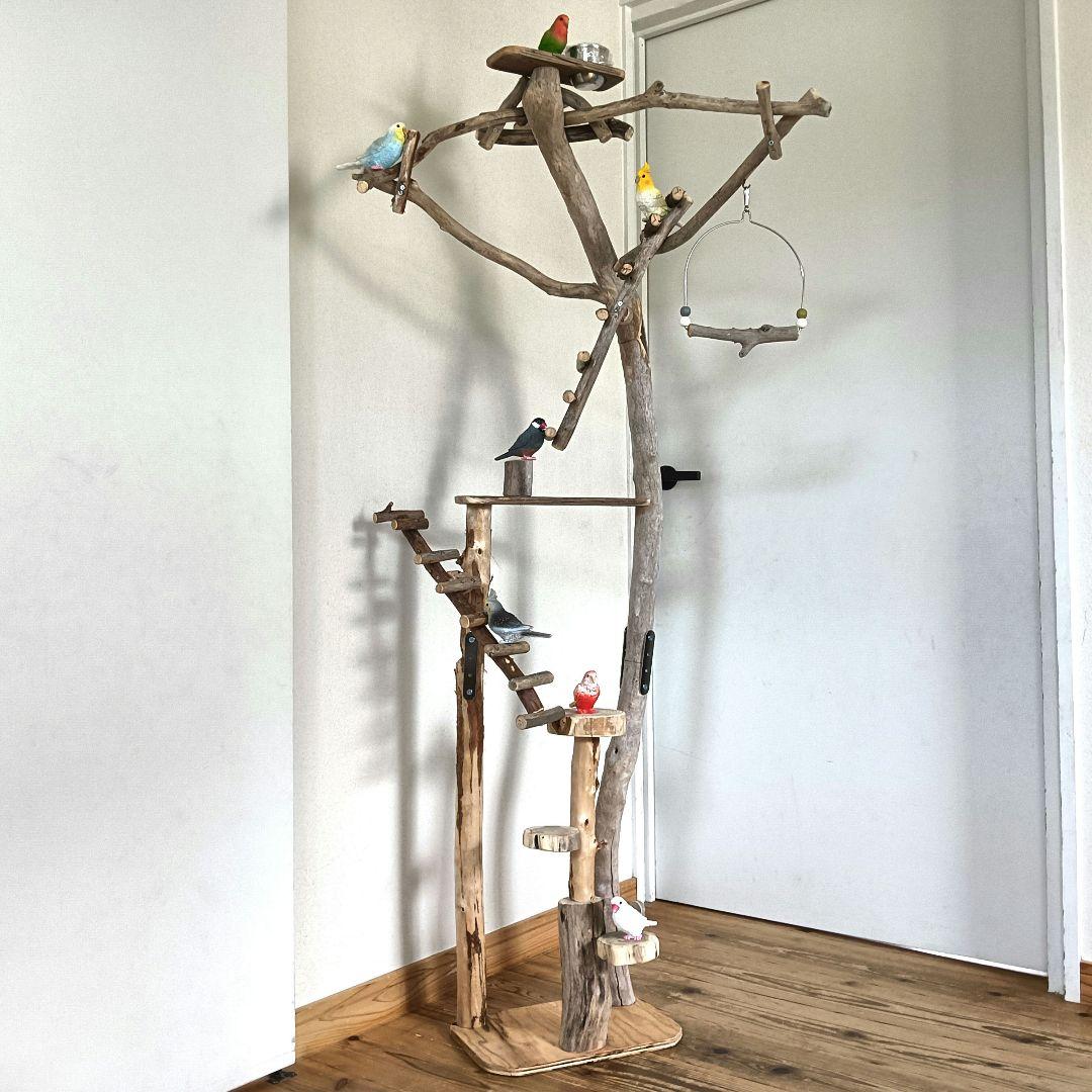 バードアスレチックジ厶 天然木 自然木 流木 インコ 止まり木 インコ