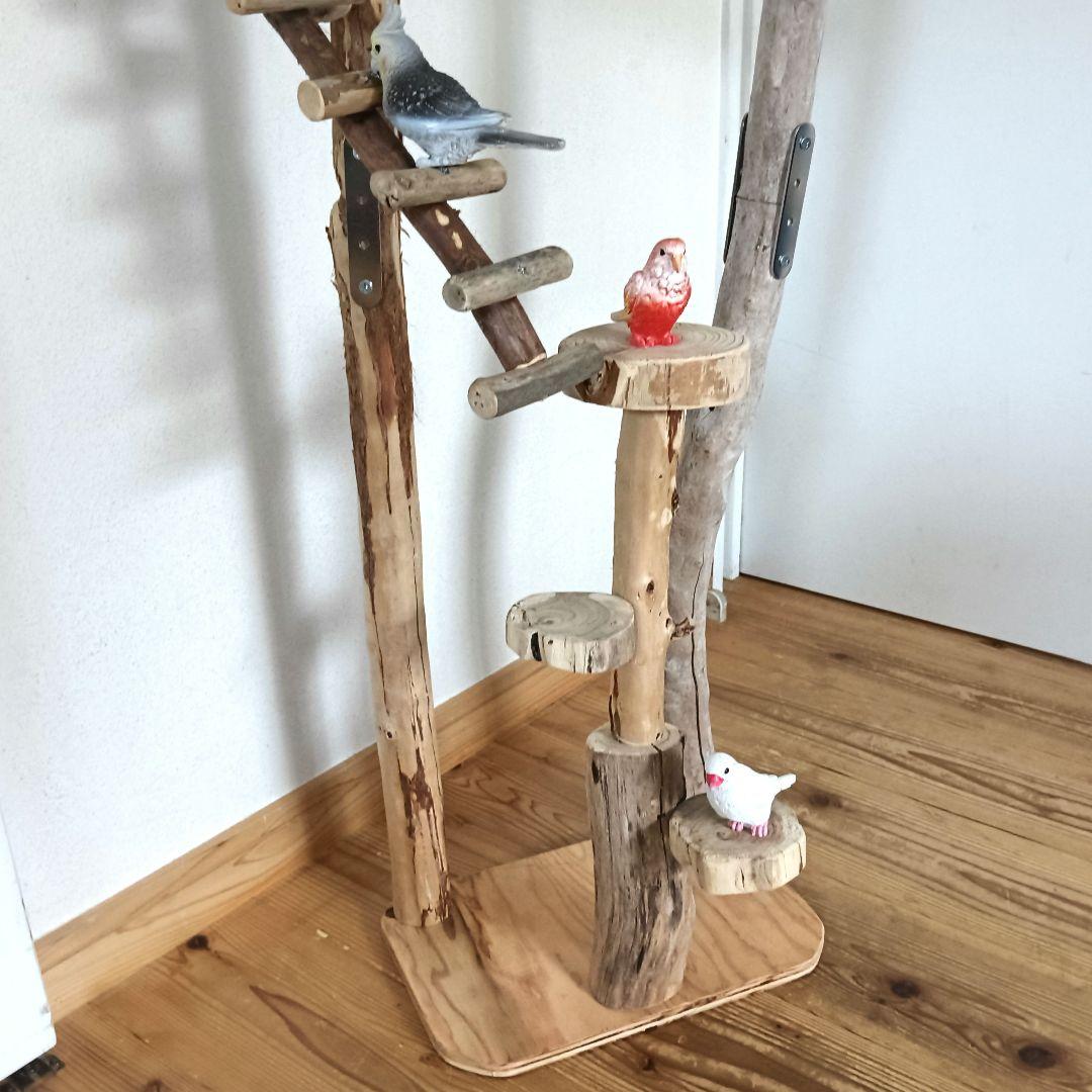 バードアスレチックジ厶 天然木 自然木 流木 インコ 止まり木 インコ