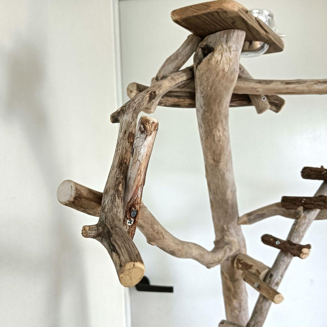 バードアスレチックジ厶 天然木 自然木 流木 インコ 止まり木 インコ