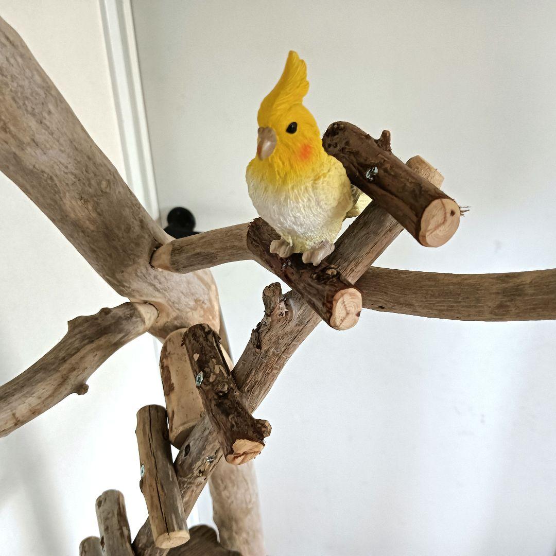 バードアスレチックジ厶 天然木 自然木 流木 インコ 止まり木 インコ