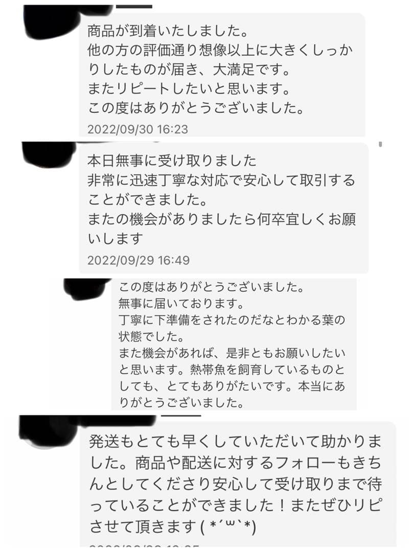 沖縄県やんばる産マジックリーフ 1kg UV殺菌灯照射済み⑤ 殺菌灯