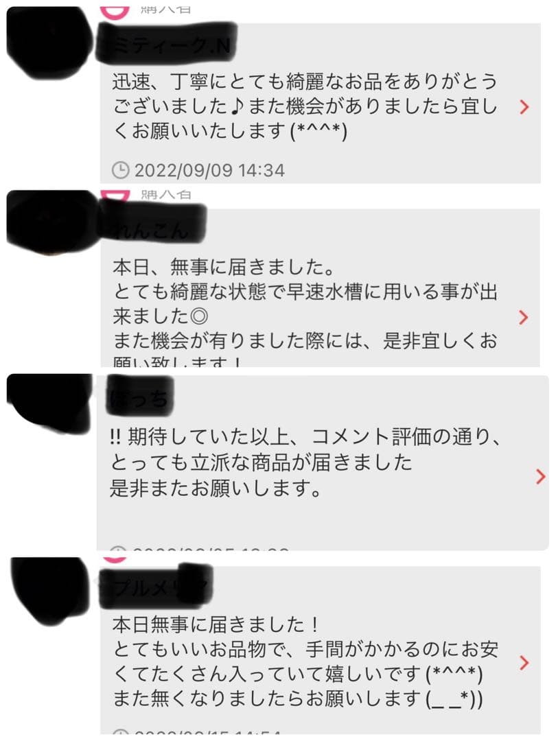 沖縄県やんばる産マジックリーフ 1kg UV殺菌灯照射済み⑤ 殺菌灯