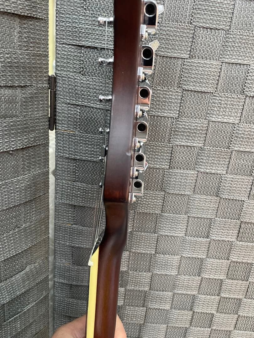 Bacchus BARON-STD/WH P90タイプピックアップ ケース付