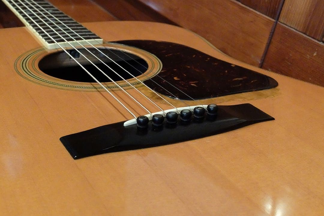 Jagard JG-35 寺田楽器 爆鳴り ジャパンビンテージ - メルカリ