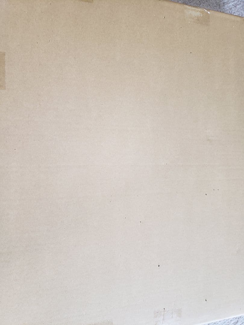 アールビバン 水彩画 ギデオン トリシア・B・ベンソン ピノキオ