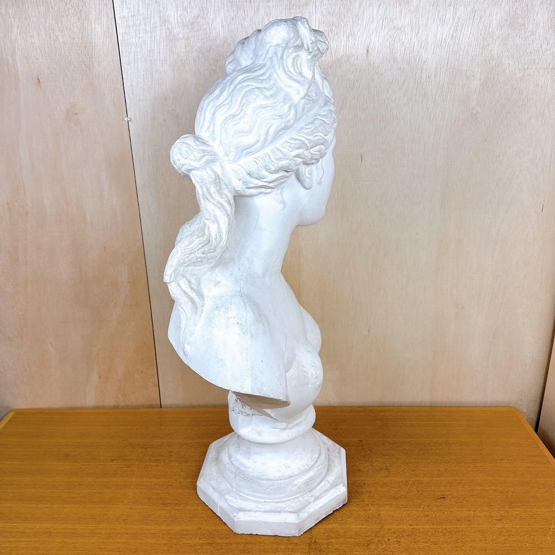 石膏像 カピトリーノ ヴィーナス 胸像 デッサン 美術 恥じらいの