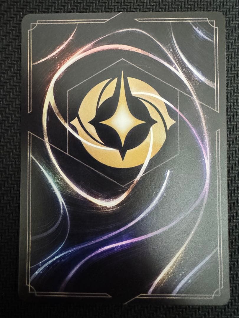 ディズニーロルカナ　エンチャンテッド　ムファサ