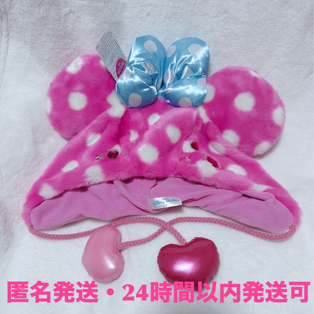 ディズニー ミニー パルパルーザ ファンダーランド ミニファン ファン