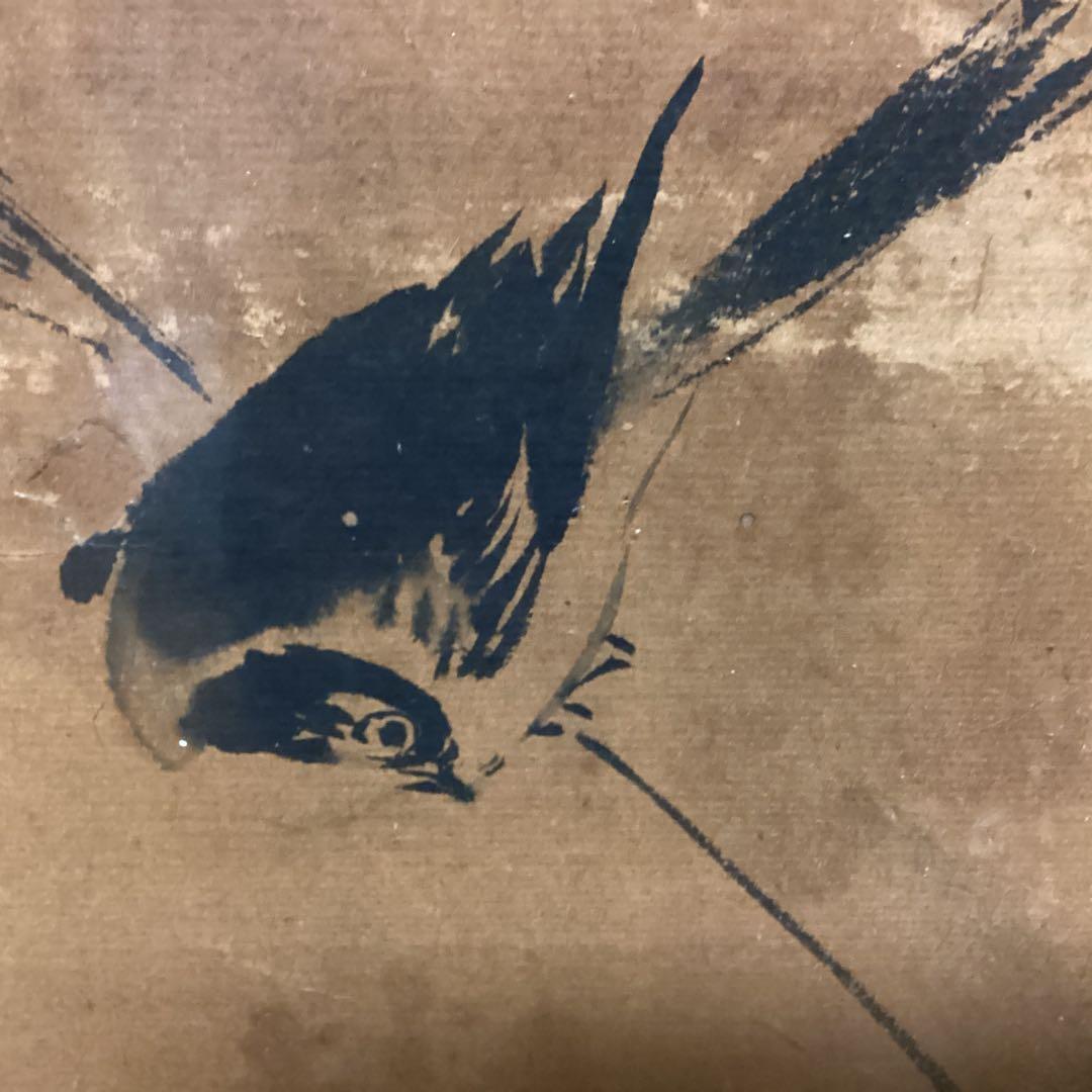 狩野法眼　守信　紙本水墨花鳥図【　竹に小禽図　】　軸外し額装仕立　模写　EJ