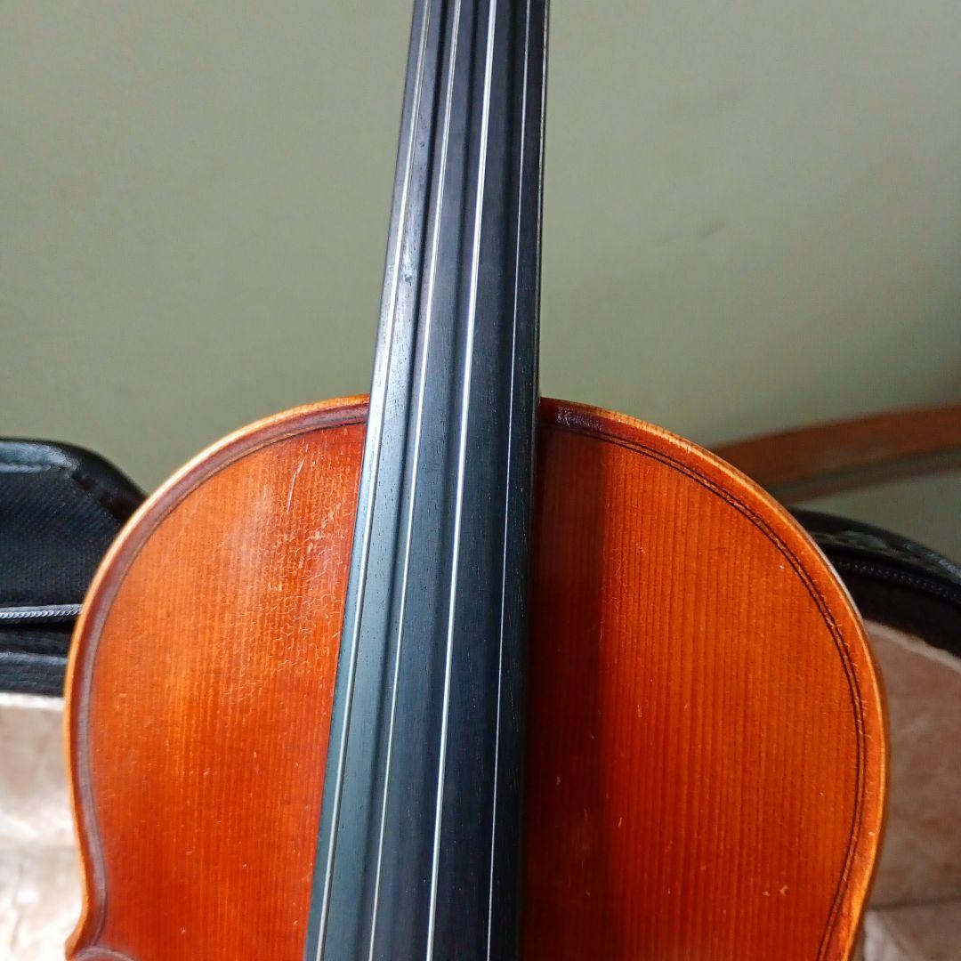 ピグマリウス スタンダード 2022年 アルシェ PE 1003 分数 1/4 - メルカリ