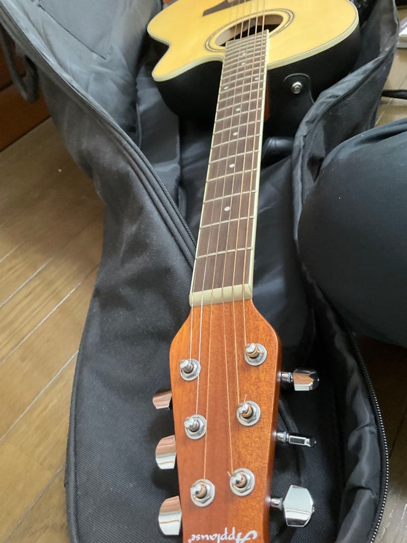 Applause セミアコースティックギター 6弦の通販はau PAY マーケット