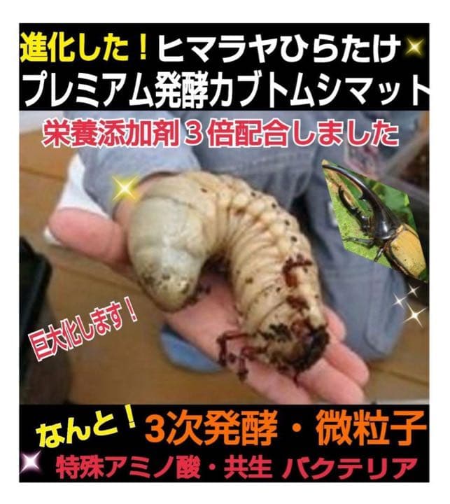 ギネスサイズ実績！特選プレミアム3次発酵カブトムシマット【5袋】特殊