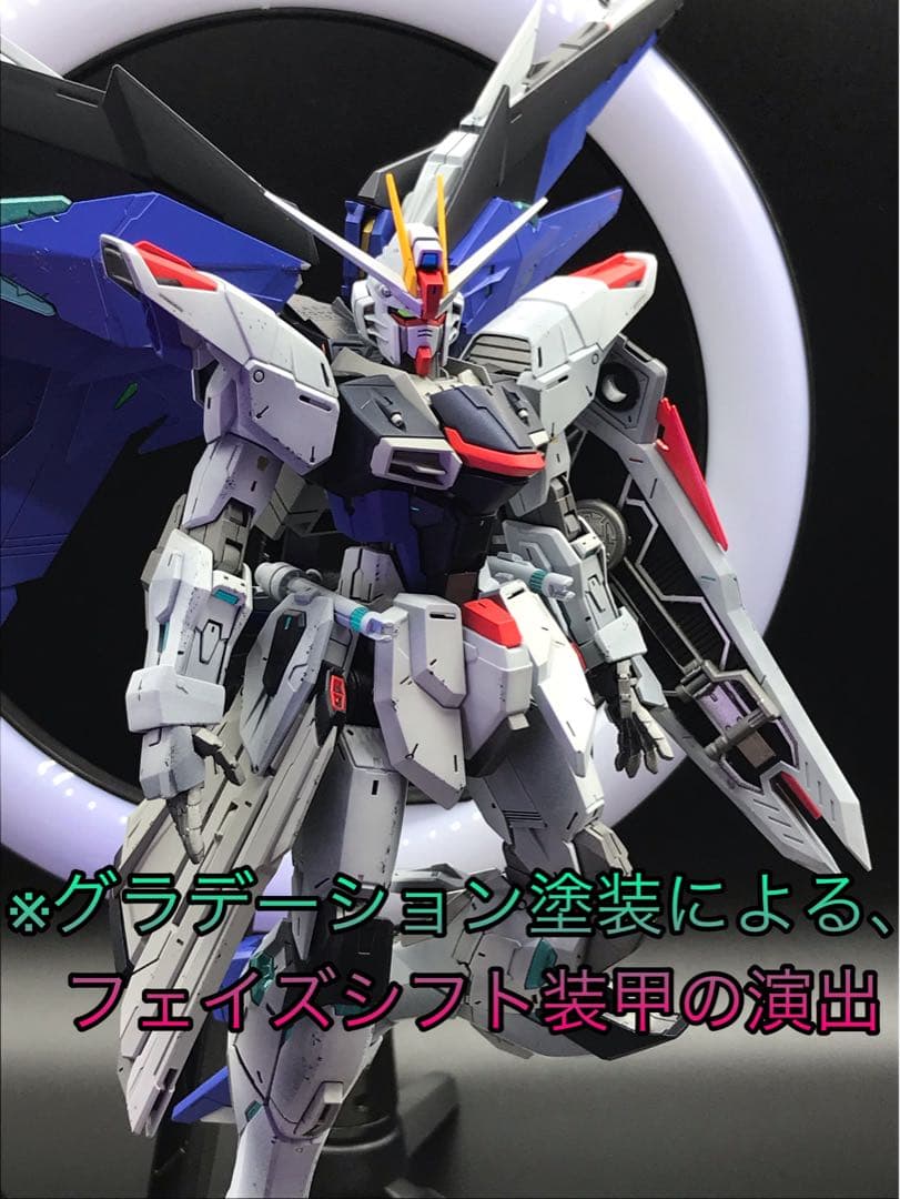 通販ホビー・楽器・アート - 【全塗装】完成品MG 1/100 フリーダム