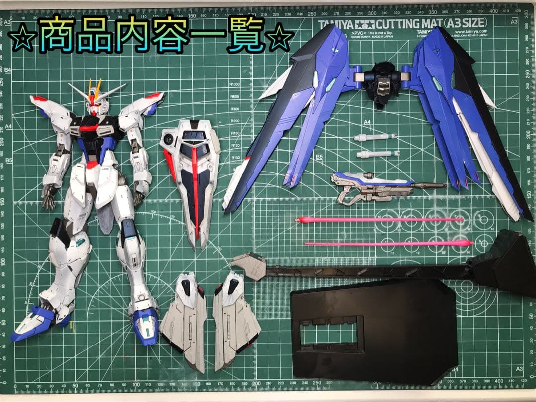 全塗装】完成品MG 1/100 フリーダムガンダム グラデーション塗装仕上げ